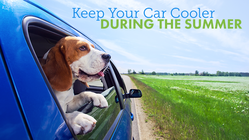 How To Keep Your Car Cooler During The Summer!